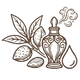 Bitter Almond Fragrance Oil