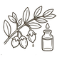 Jojoba Oil