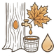 Maple Syrup