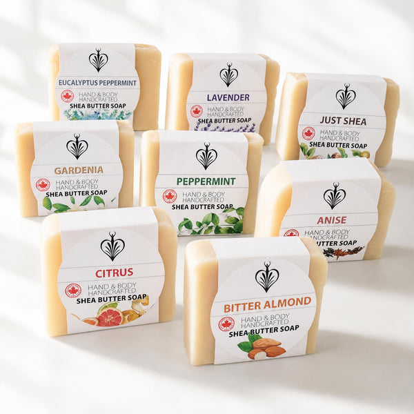 Bar Soap • Variety Pack • Large