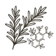 Rosemary Extract